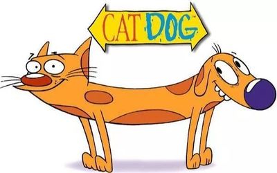 活动预告 | 今夜是谁流下了时代的眼泪 #动画创作与研究协会 综艺节目